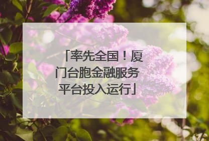 率先全国！厦门台胞金融服务平台投入运行