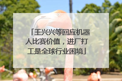 王兴兴等回应机器人比赛价值，进厂打工是全球行业困境