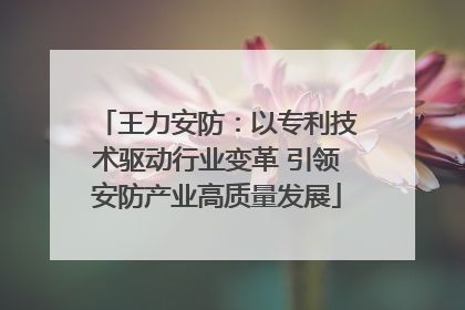 王力安防：以专利技术驱动行业变革 引领安防产业高质量发展