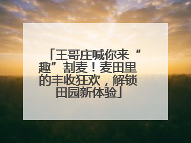 王哥庄喊你来“趣”割麦！麦田里的丰收狂欢，解锁田园新体验