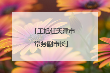王旭任天津市常务副市长