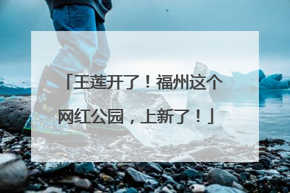王莲开了！福州这个网红公园，上新了！