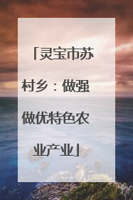 灵宝市苏村乡：做强做优特色农业产业