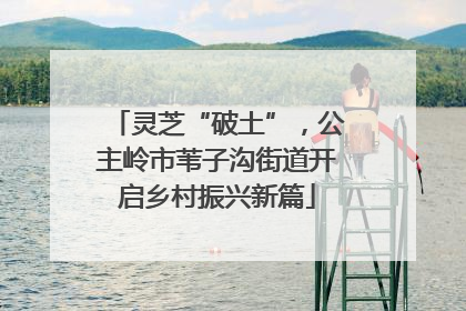 灵芝“破土”，公主岭市苇子沟街道开启乡村振兴新篇