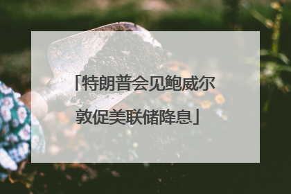 特朗普会见鲍威尔 敦促美联储降息