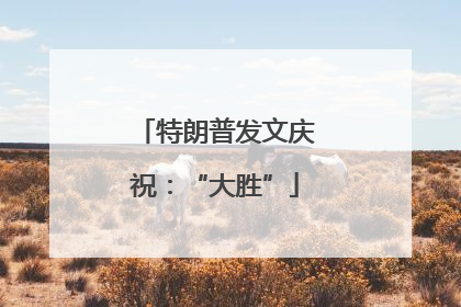 特朗普发文庆祝：“大胜”