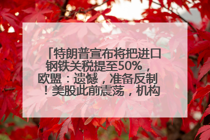 特朗普宣布将把进口钢铁关税提至50%，欧盟：遗憾，准备反制！美股此前震荡，机构：美元正进入熊市