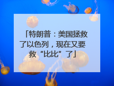 特朗普：美国拯救了以色列，现在又要救“比比”了