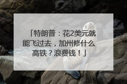 特朗普：花2美元就能飞过去，加州修什么高铁？浪费钱！