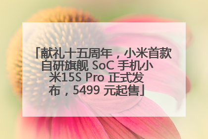 献礼十五周年，小米首款自研旗舰 SoC 手机小米15S Pro 正式发布，5499 元起售