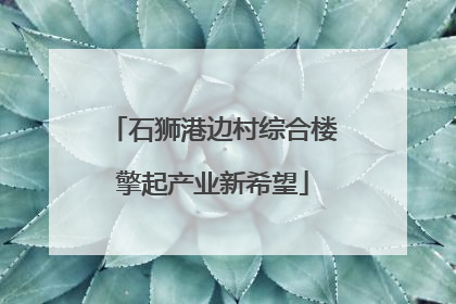 石狮港边村综合楼擎起产业新希望