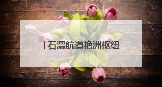 石澧航道艳洲枢纽船闸工程迎新进展