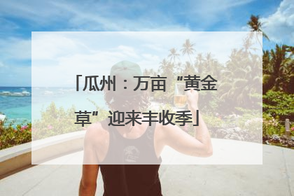 瓜州：万亩“黄金草”迎来丰收季