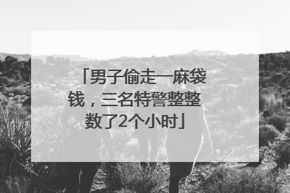 男子偷走一麻袋钱，三名特警整整数了2个小时
