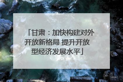 甘肃：加快构建对外开放新格局 提升开放型经济发展水平