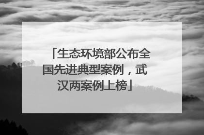 生态环境部公布全国先进典型案例，武汉两案例上榜