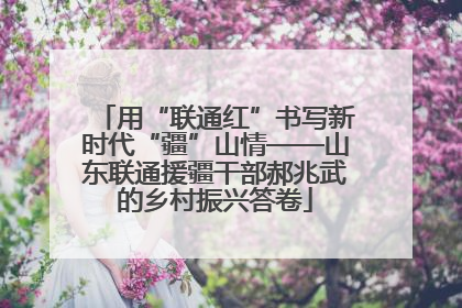 用“联通红”书写新时代“疆”山情——山东联通援疆干部郝兆武的乡村振兴答卷