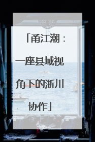 甬江潮：一座县域视角下的浙川协作