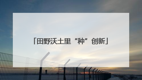 田野沃土里“种”创新