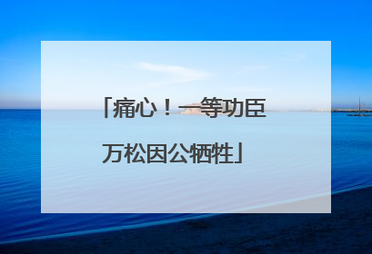 痛心！一等功臣万松因公牺牲