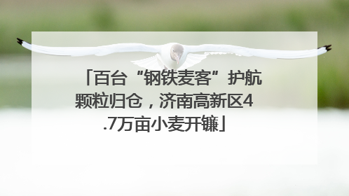 百台“钢铁麦客”护航颗粒归仓，济南高新区4.7万亩小麦开镰