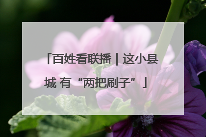 百姓看联播｜这小县城 有“两把刷子”