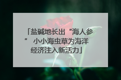 盐碱地长出“海人参” 小小海虫草为海洋经济注入新活力