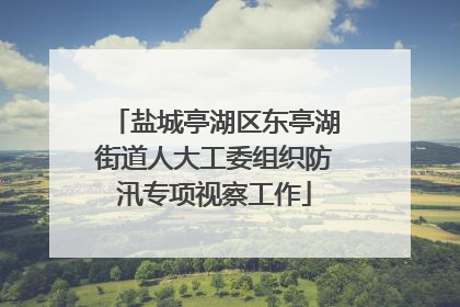 盐城亭湖区东亭湖街道人大工委组织防汛专项视察工作