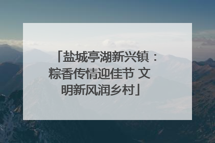 盐城亭湖新兴镇：粽香传情迎佳节 文明新风润乡村