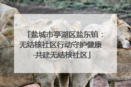 盐城市亭湖区盐东镇：无结核社区行动守护健康 ·共建无结核社区