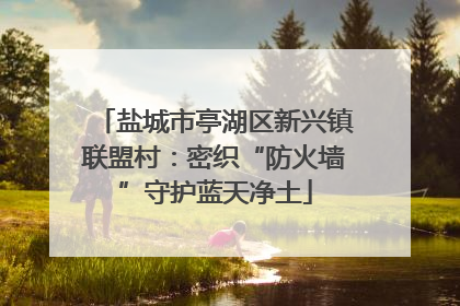 盐城市亭湖区新兴镇联盟村：密织“防火墙”守护蓝天净土
