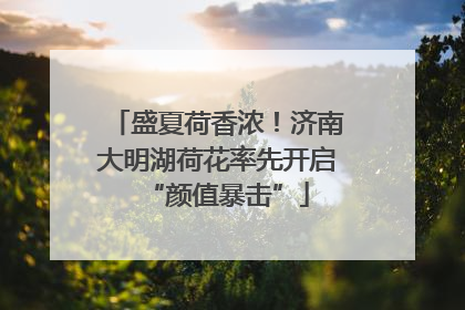 盛夏荷香浓！济南大明湖荷花率先开启“颜值暴击”
