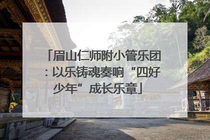 眉山仁师附小管乐团：以乐铸魂奏响“四好少年”成长乐章