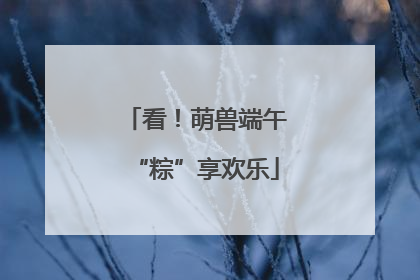 看！萌兽端午“粽”享欢乐