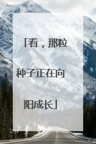 看，那粒种子正在向阳成长