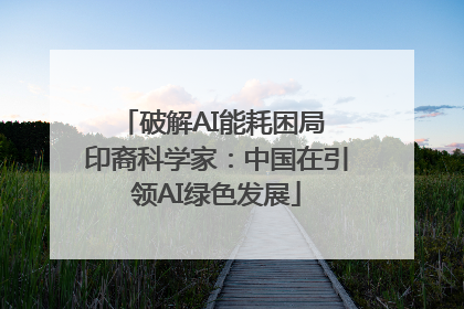 破解AI能耗困局 印裔科学家：中国在引领AI绿色发展