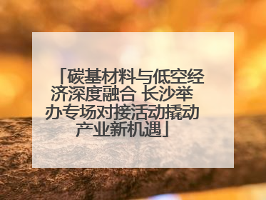 碳基材料与低空经济深度融合 长沙举办专场对接活动撬动产业新机遇