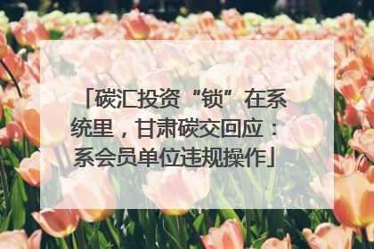 碳汇投资“锁”在系统里，甘肃碳交回应：系会员单位违规操作