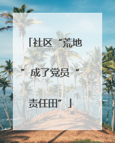 社区“荒地”成了党员“责任田”