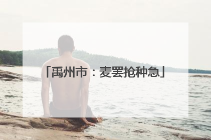禹州市：麦罢抢种急