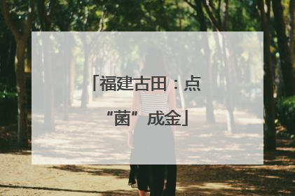 福建古田：点“菌”成金