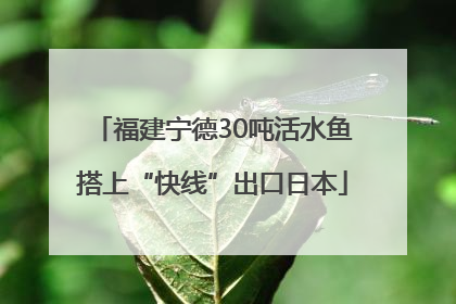 福建宁德30吨活水鱼搭上“快线”出口日本