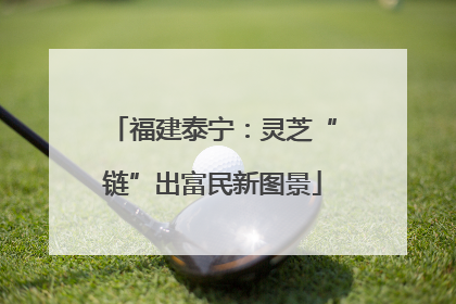 福建泰宁：灵芝“链”出富民新图景