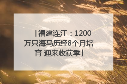 福建连江：1200万只海马历经8个月培育 迎来收获季
