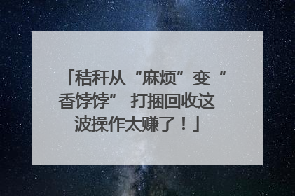 秸秆从“麻烦”变“香饽饽” 打捆回收这波操作太赚了！