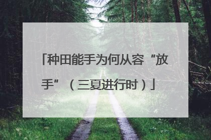 种田能手为何从容“放手”（三夏进行时）