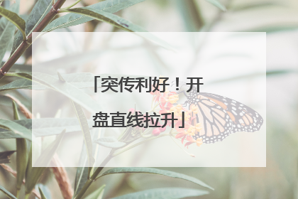 突传利好！开盘直线拉升