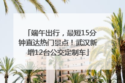 端午出行，最短15分钟直达热门景点！武汉新增12台公交定制车