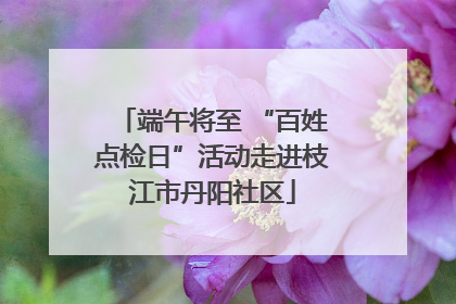 端午将至 “百姓点检日”活动走进枝江市丹阳社区