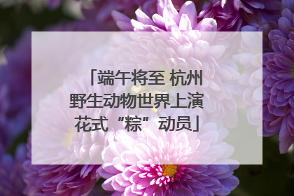 端午将至 杭州野生动物世界上演花式“粽”动员